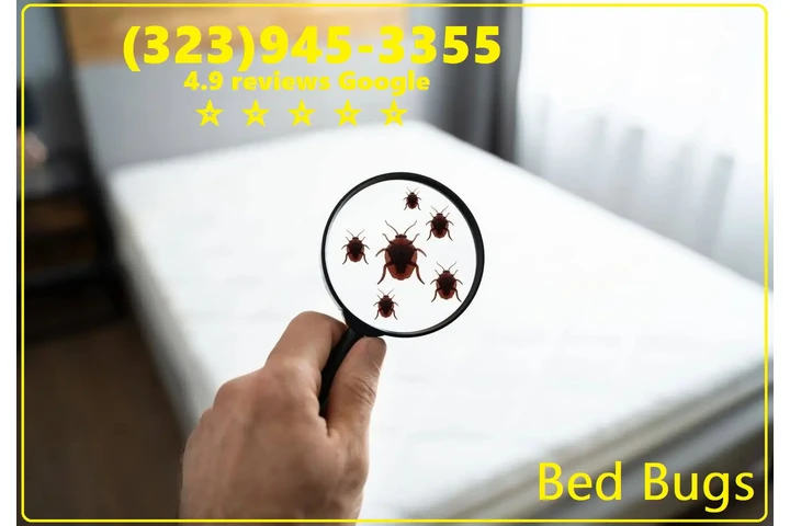 Pest Control Services 24/7.L.A image 9