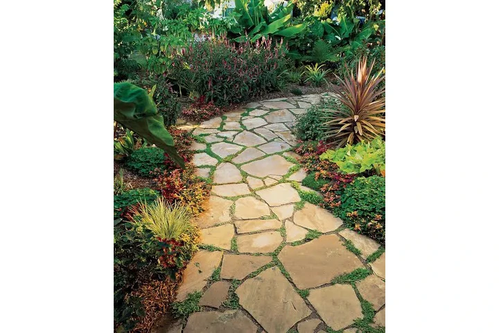 Ruiz servicio de jardinería image 1