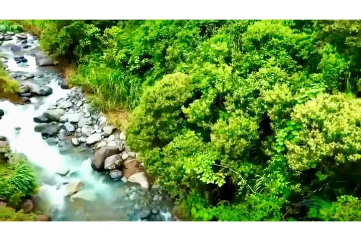 $3960000 : SE VENDE ESPECTACULAR FINCA. image 3