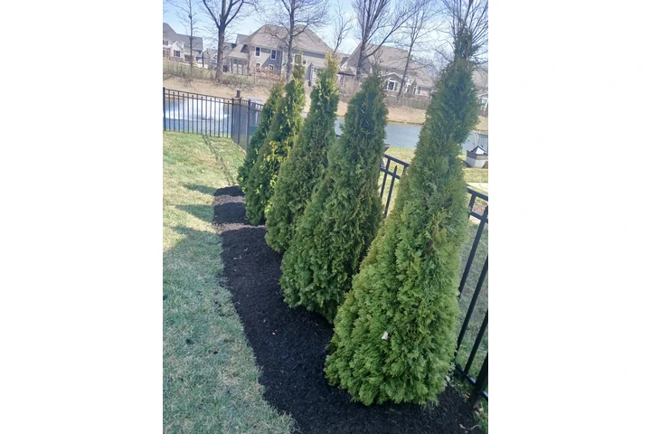 Garcia Landscaping image 7