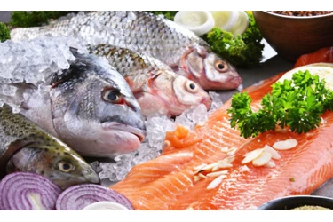 Pescado y mariscos frescos en Bronx