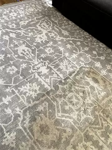 Karrion certified carpet care image 6