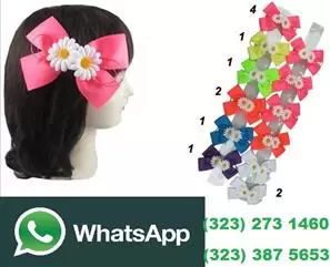 $5 : ASESORIOS PARA EL CABELLO $5 image 1
