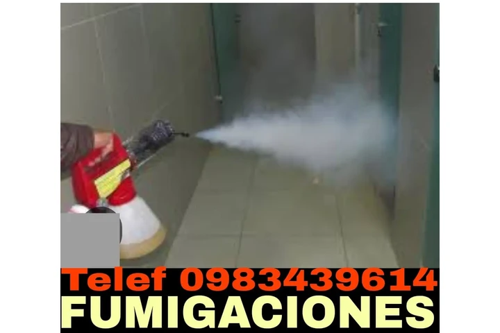 Control de plagas en Calaali image 1