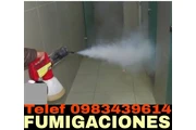 Control de plagas en Calaali en Quito