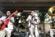 📲Grupo norteño con TUBA📲📲📲