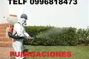 LIMPIEZA DE OBRA TERMINADA thumbnail