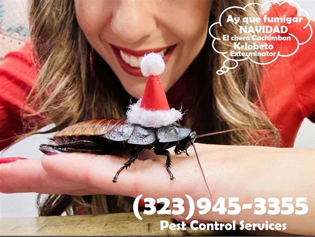 PEST CONTROL SERVICES-RODENTS. image 5