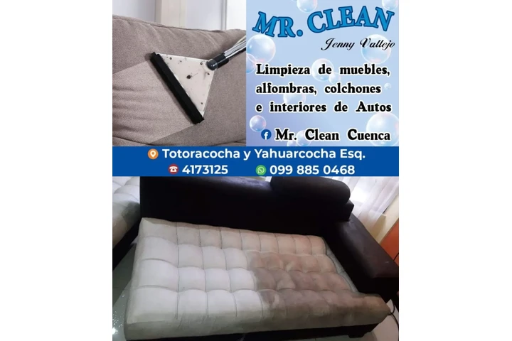 LAVADO MUEBLES ALFOMBRAS AZUAY image 10