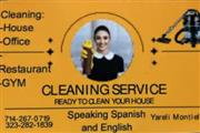 Cleaning service