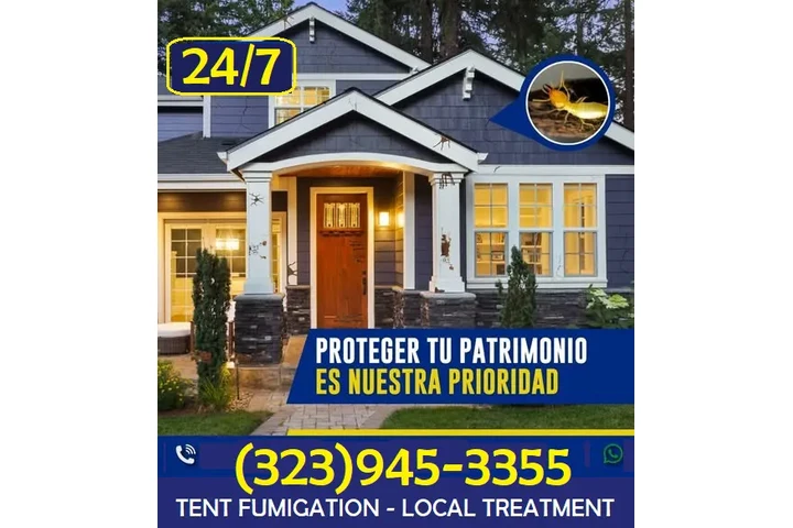 FUMIGACIONES TERMITAS 24/7.- image 7