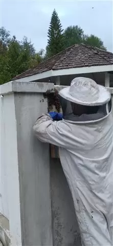 Superior Bee Control image 3