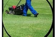 Julio General Landscaping Serv thumbnail 3