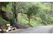 $299444 : Salitral Costa Rica Land Sale thumbnail