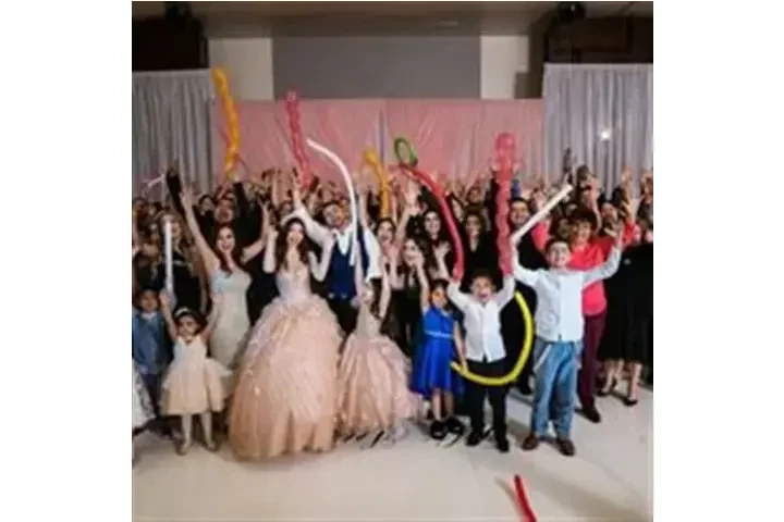 Master Entertainment Luxury DJ image 10