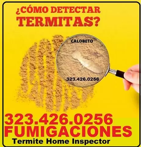 $99 : FUMIGACION TERMITAS-INSPECCION image 2