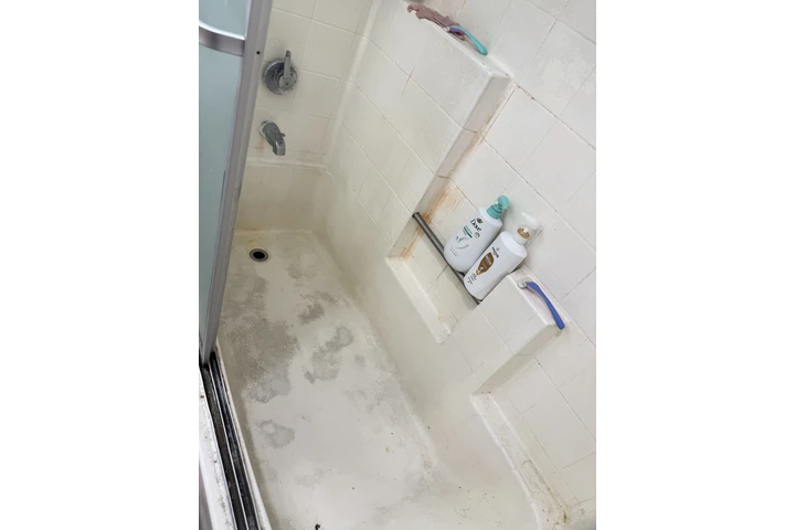 Deep cleaning experts image 3