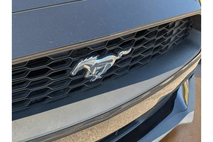 Ford Mustang 2020 EcoBoost 2 image 5