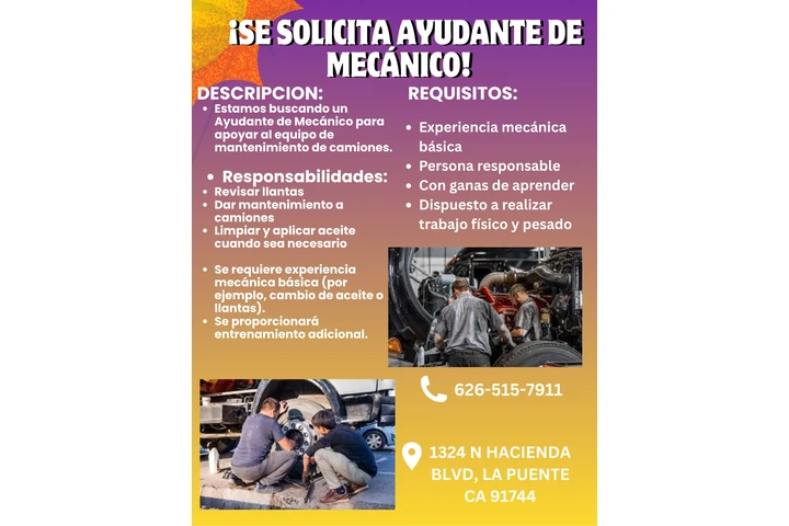 ASSISTENTE DE MECHANICO image 1