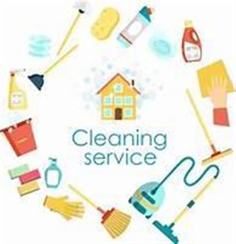 Professional Cleaning image 4