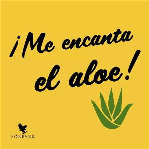 Aloe Vera para tu belleza image 1