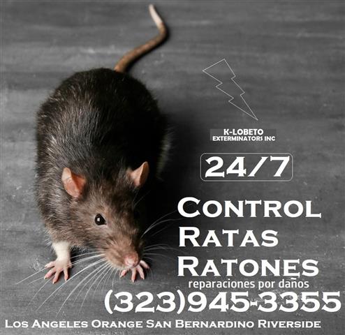 "PROFESSIONAL RODENT SERVICES" image 4
