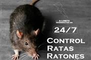 "PROFESSIONAL RODENT SERVICES" thumbnail