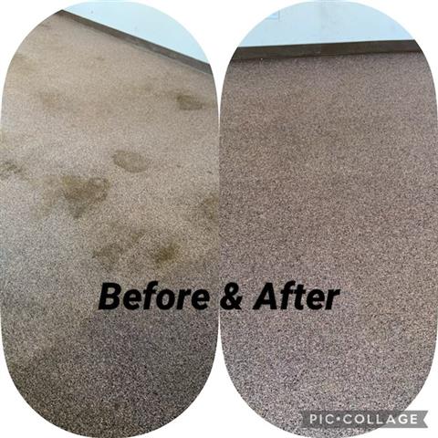 CARPET CLEANING image 3