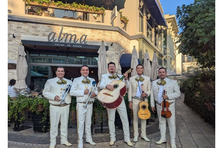 Mariachi responsable y profesi image 1