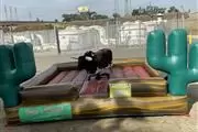 Toro mecánico/Mechanical Bull en Los Angeles