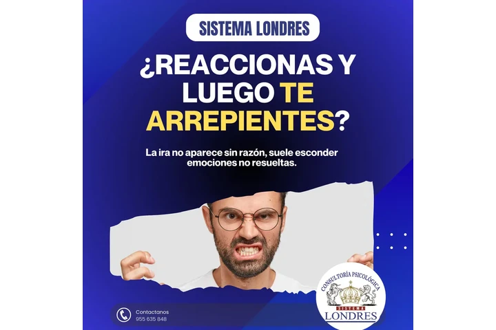 TERAPIA PARA CONTROL DE IRA image 1