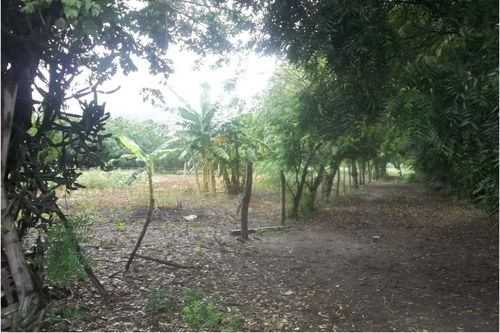 $111111111 : VENDO LOTE PLANO 1250 MT image 3
