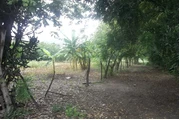 $111111111 : VENDO LOTE PLANO 1250 MT thumbnail