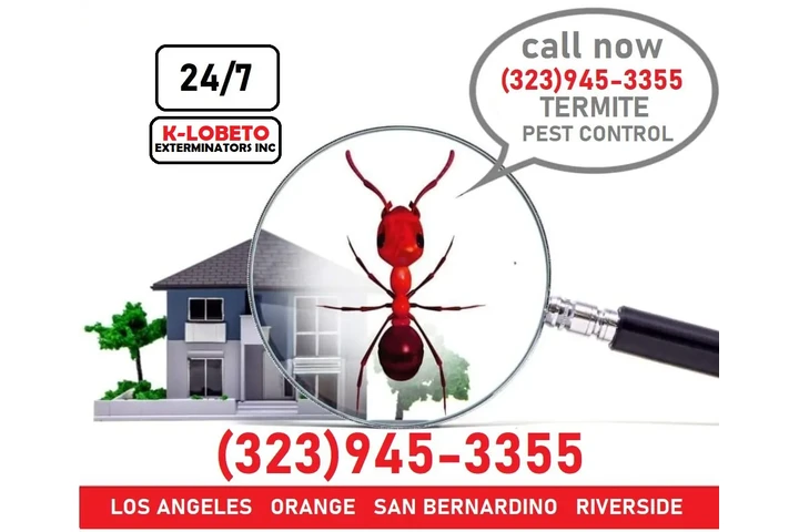 FUMIGATION LOS ANGELES--WINTER image 7