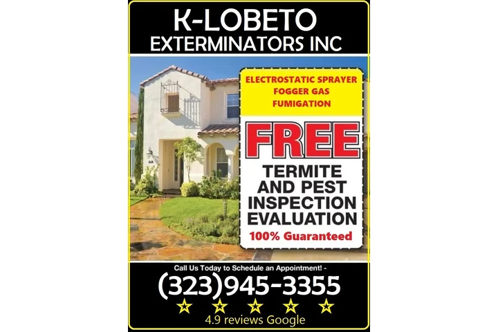 FUMIGACIONES TERMITAS 24/7 L.A image 5