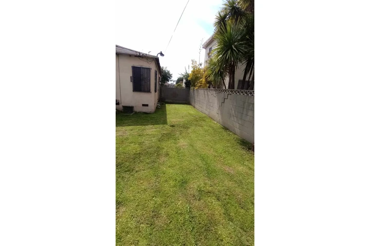 Grasscut weeds shrubs 🏡📲🌴 image 6