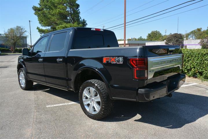 2019 F-150 Platinum image 10