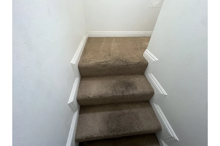 Lavado de Alfombras image 6