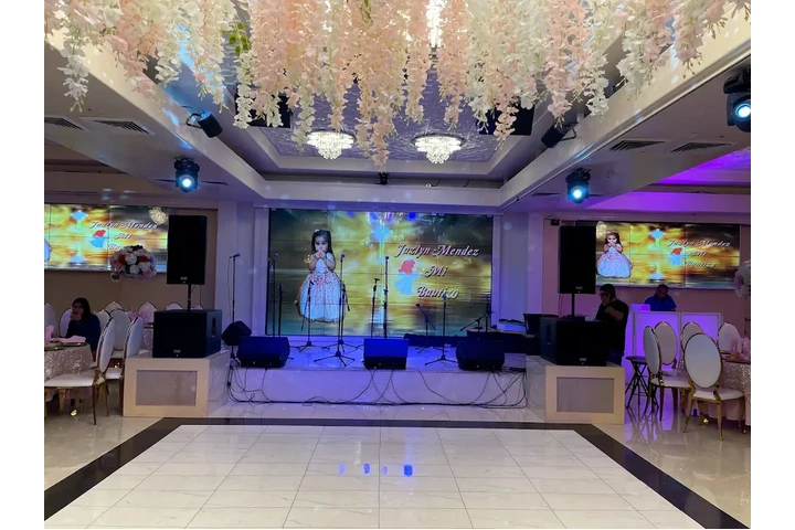 RENTA DE SONIDO image 6