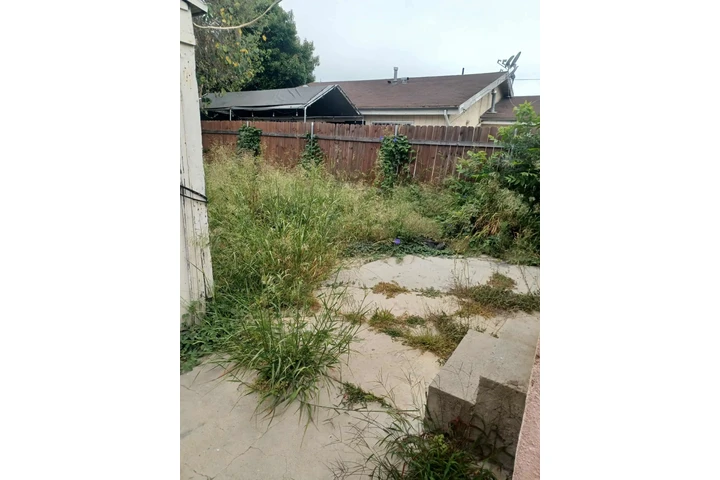 Corte de pasto 🏡$35 image 10