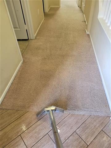 Arizmendi's Carpet Cleaning image 4