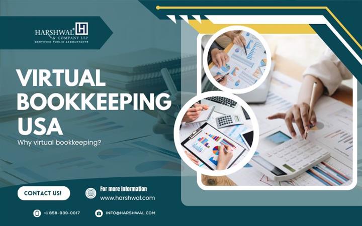 expert virtual bookkeeping image 1