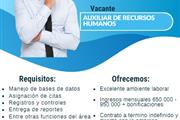 Auxiliar de Recursos Humanos thumbnail