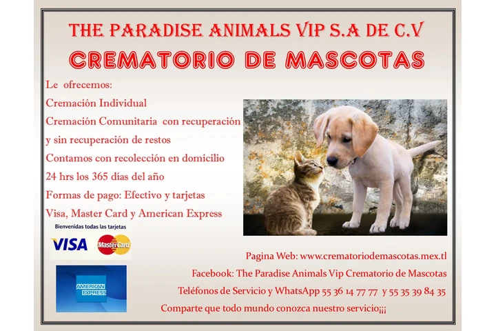 Crematorio de Mascotas image 2