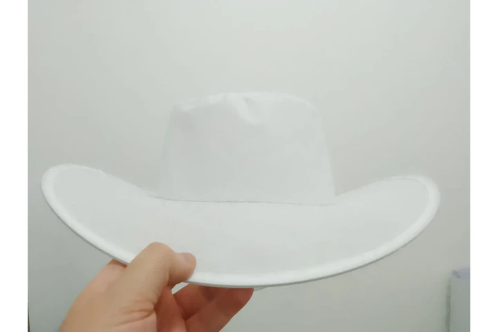 $1 : SOMBREROS PARA CAMPAÑAS image 3