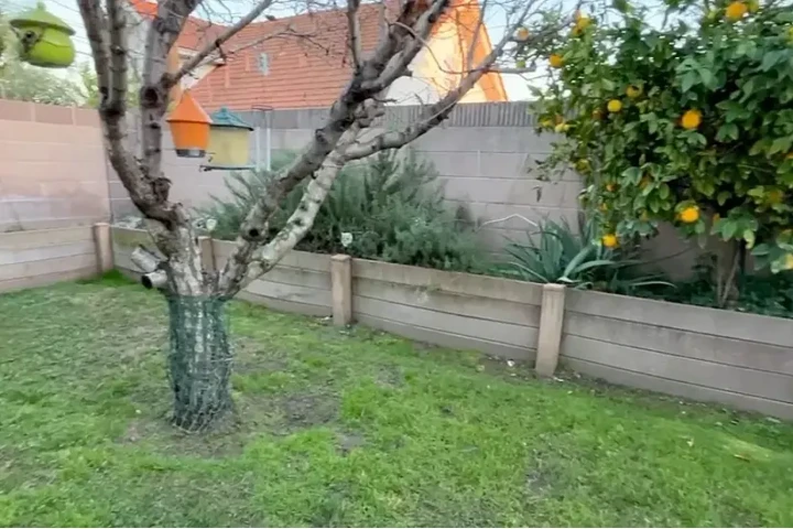 $1679 : 3BEDS 2BA HOUSE FOR RENT IN LA image 1
