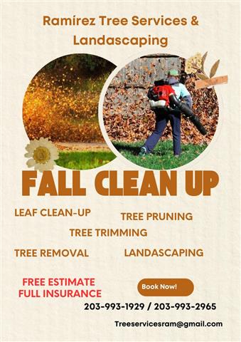 Ramirez Tree Services image 1