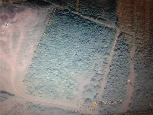 GITASA image 6