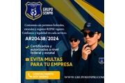 Seguridad Profesional thumbnail