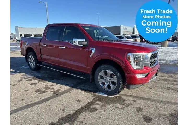 $40000 : Ford F-150 2022 4x4 Platinum image 1